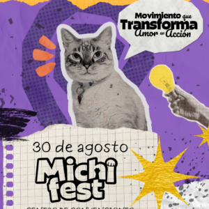 MICHI FEST 2026